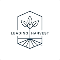 Leading harvest